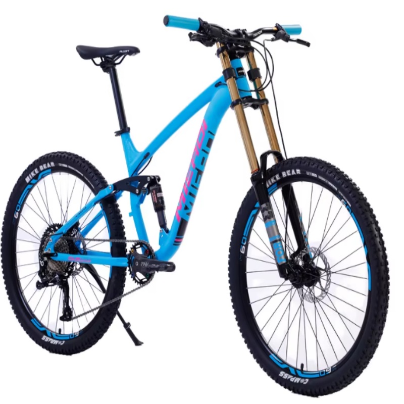 Mountain Biking Gear - 高品質24インチデュアルディスクブレーキ自転車ギア（男女学生向け）-マウンテンバイク